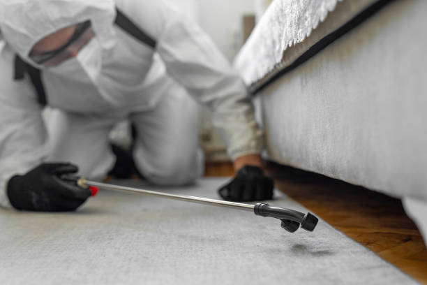 Professional Termite Control technician working in North Baltimore, OH