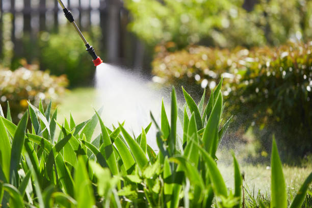 24/7 Emergency Termite Control experts in North Baltimore, OH